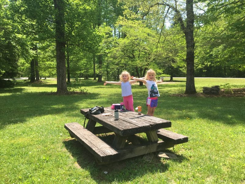 Picnic in the Forest